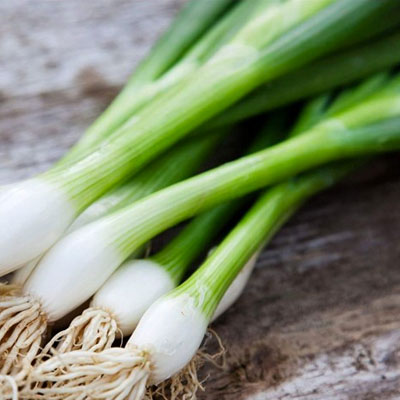 scallion