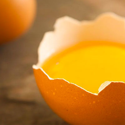 egg yolk