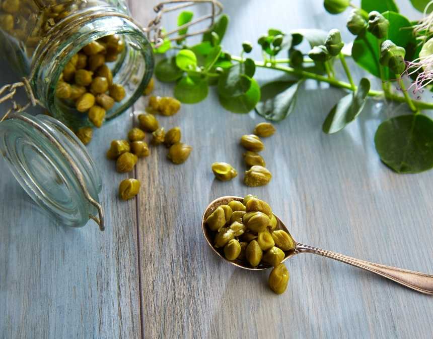 What Are Capers?