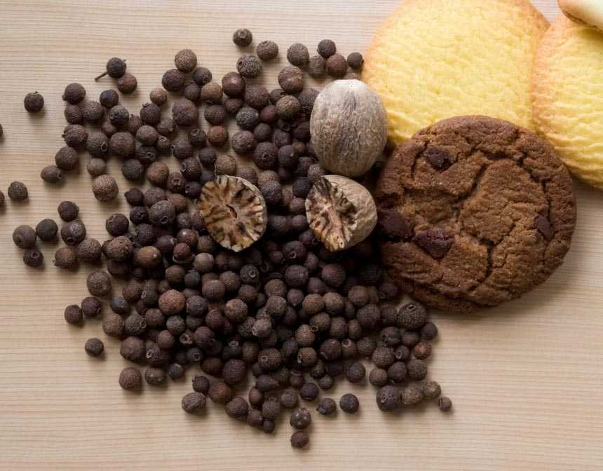 allspice