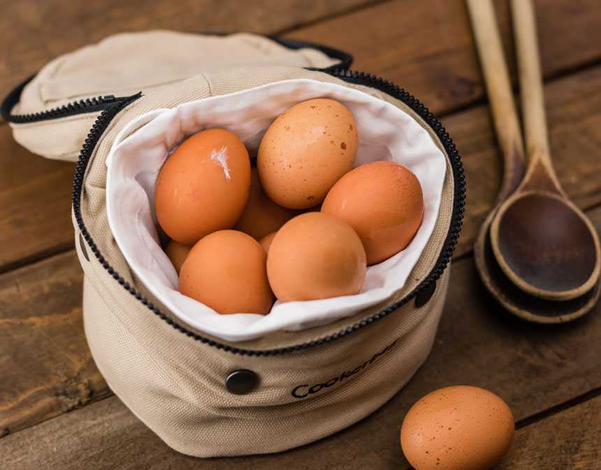 Everything You Need to Know About Eggs