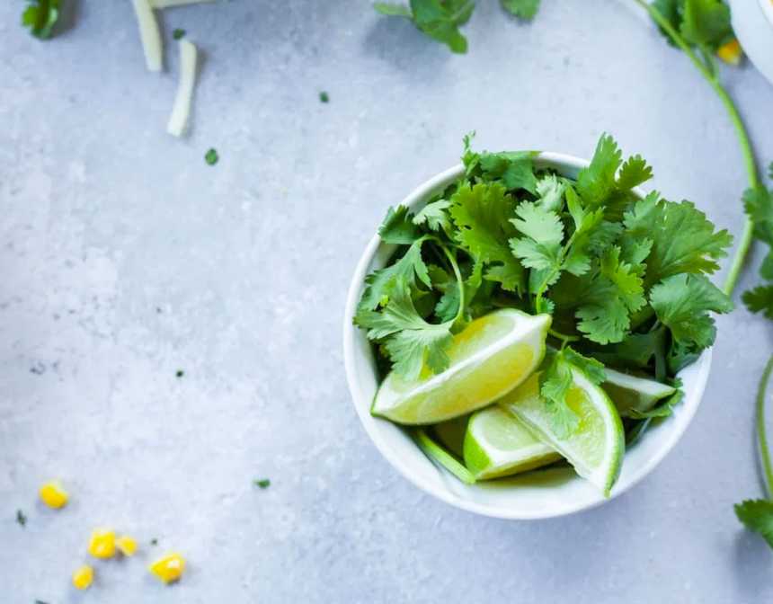 cilantro (coriander)