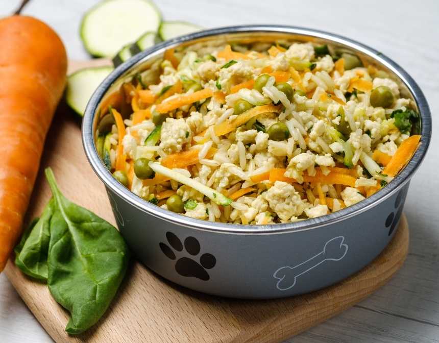 Homemade Dog Food with Vegetable