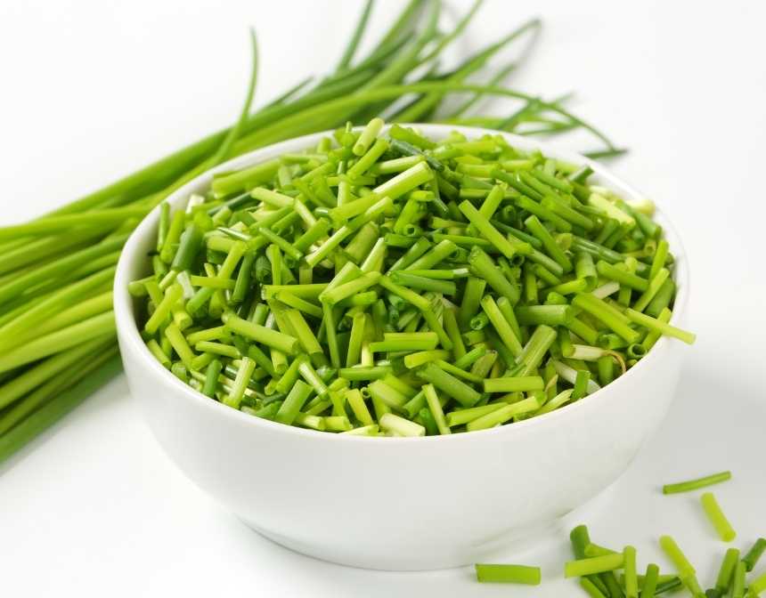 fresh chives