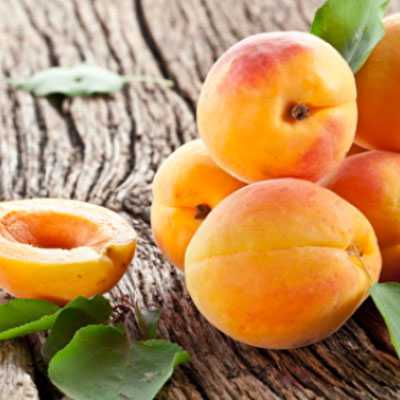 apricot