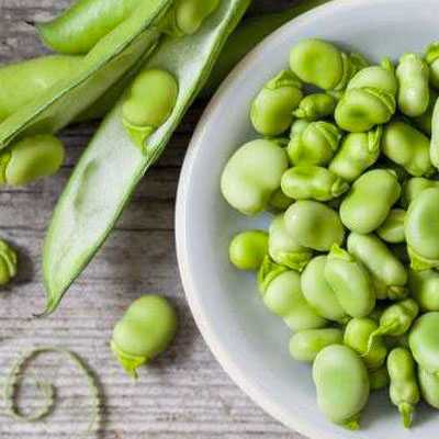 broad bean