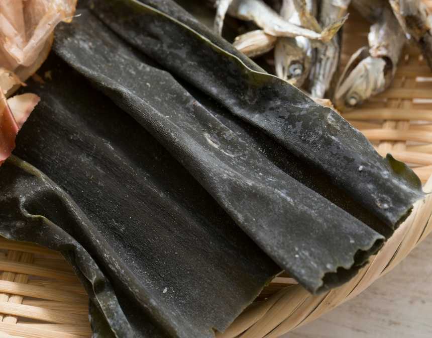 kombu