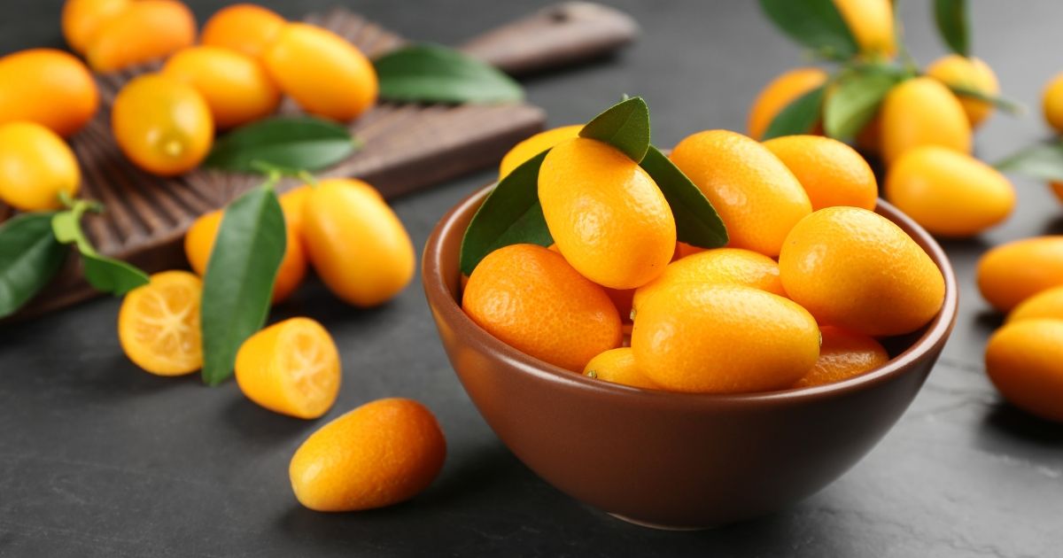 What Is a Kumquat?