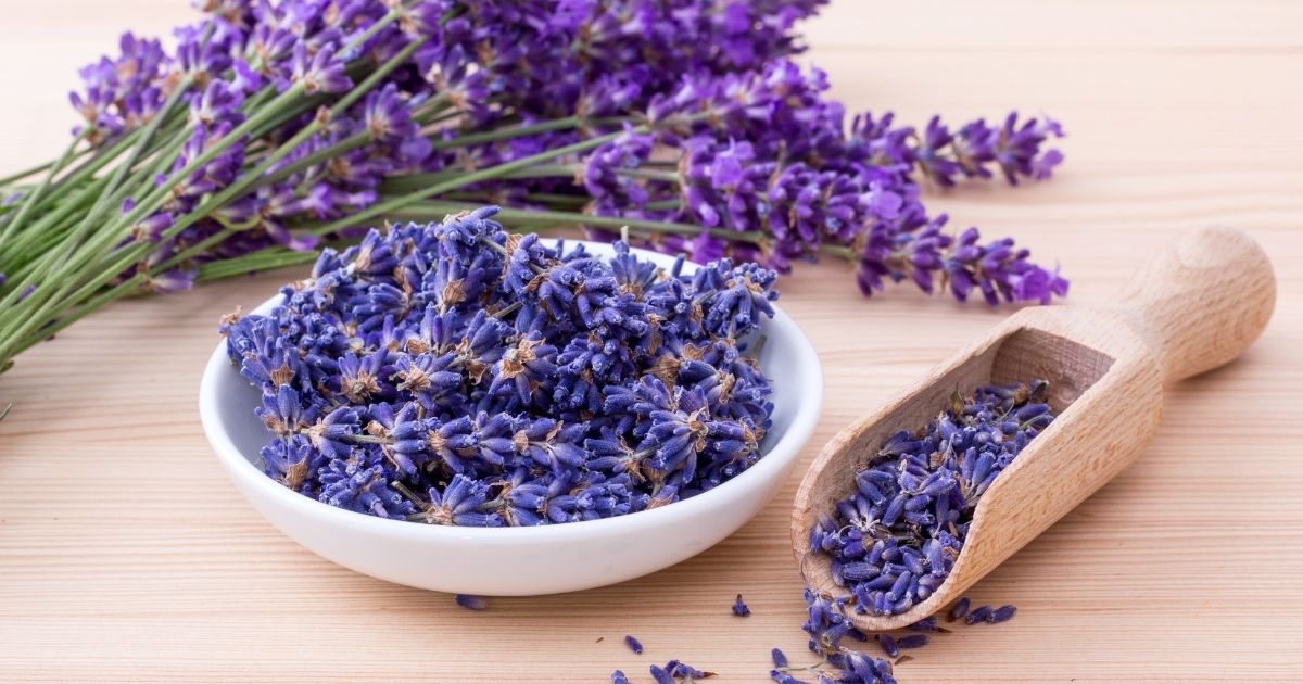 How To Cook with Lavender?