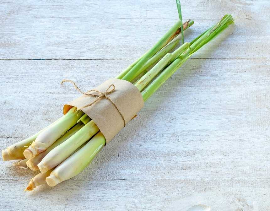 lemongrass