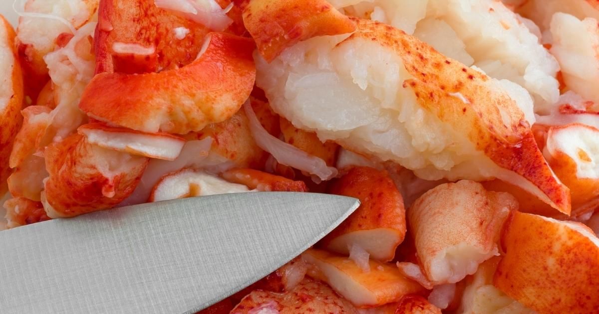 lobster meat