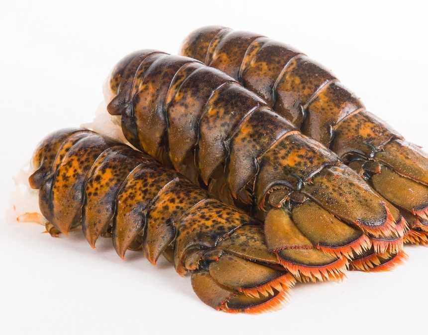 lobster tail