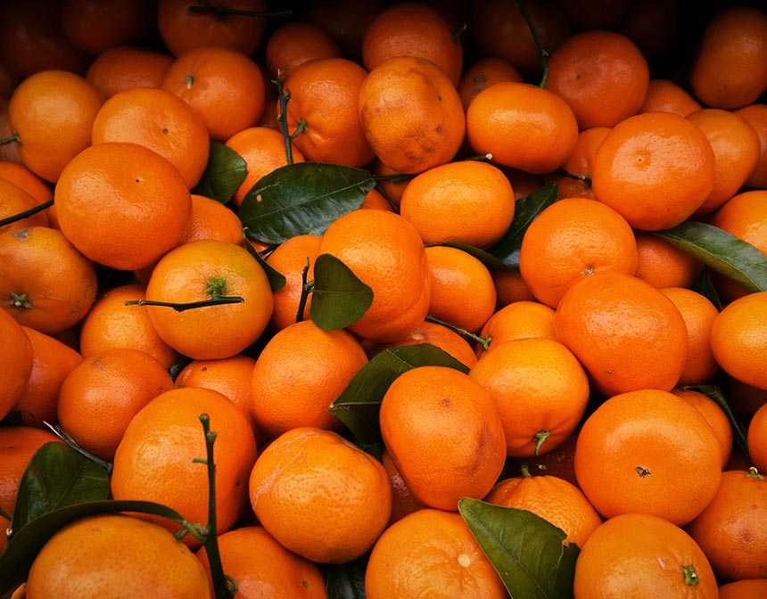 mandarin orange