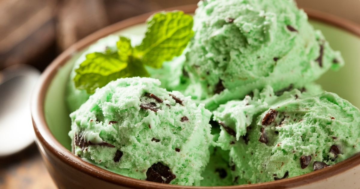Homemade Mint Chocolate Chip Ice Cream