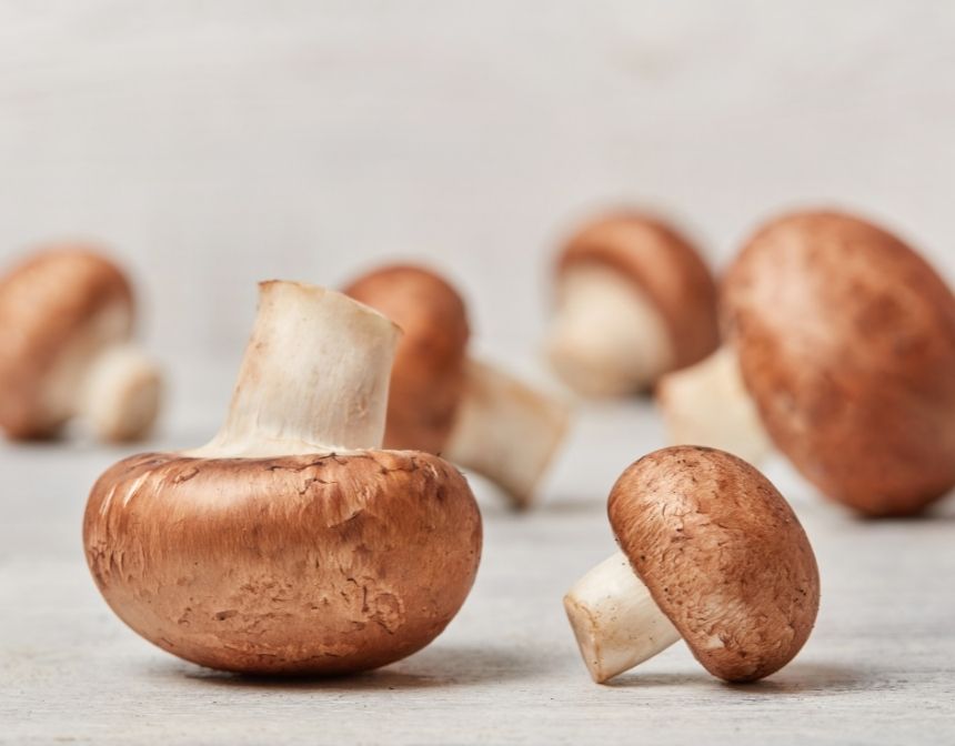 Types of Edible Mushrooms & Uses