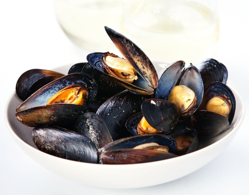 mussel