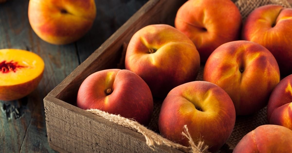 Şeftali Çeşitleri