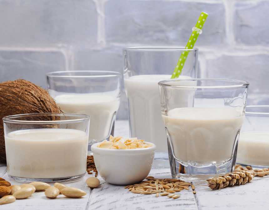 A Guide for Types of Milk