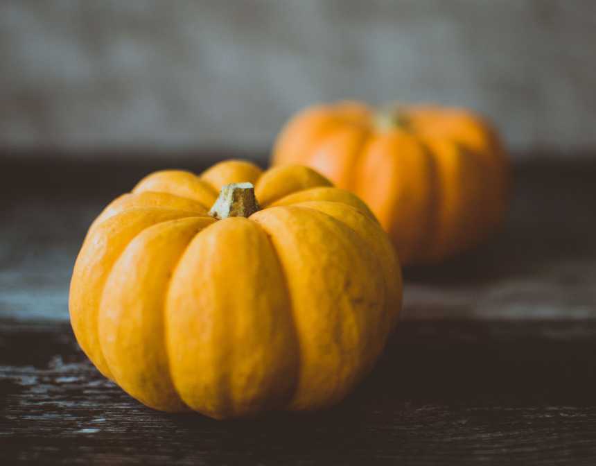 pumpkin