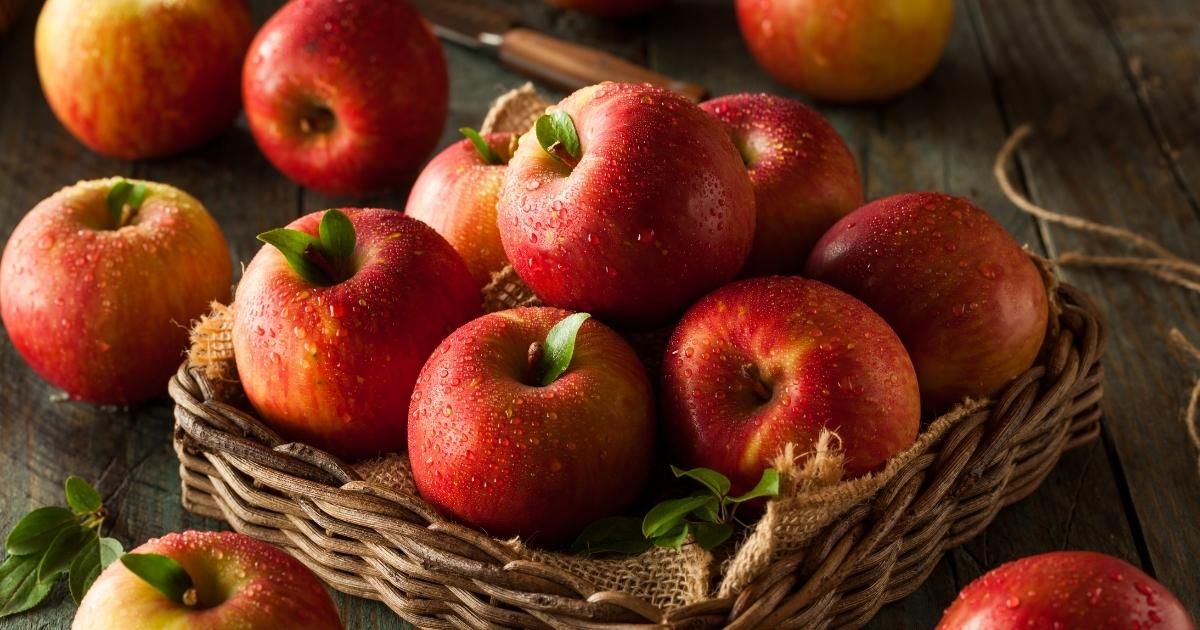 Elma Çeşitleri