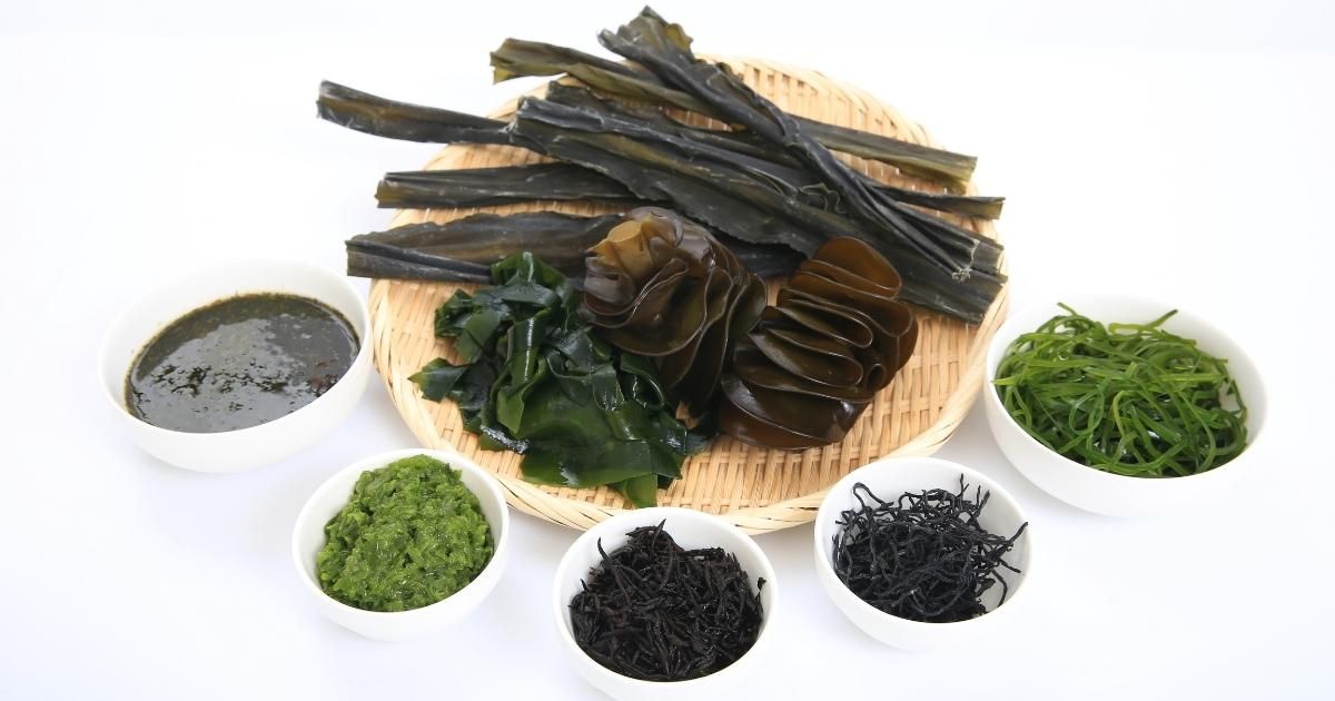 What Is Edible Seaweed?