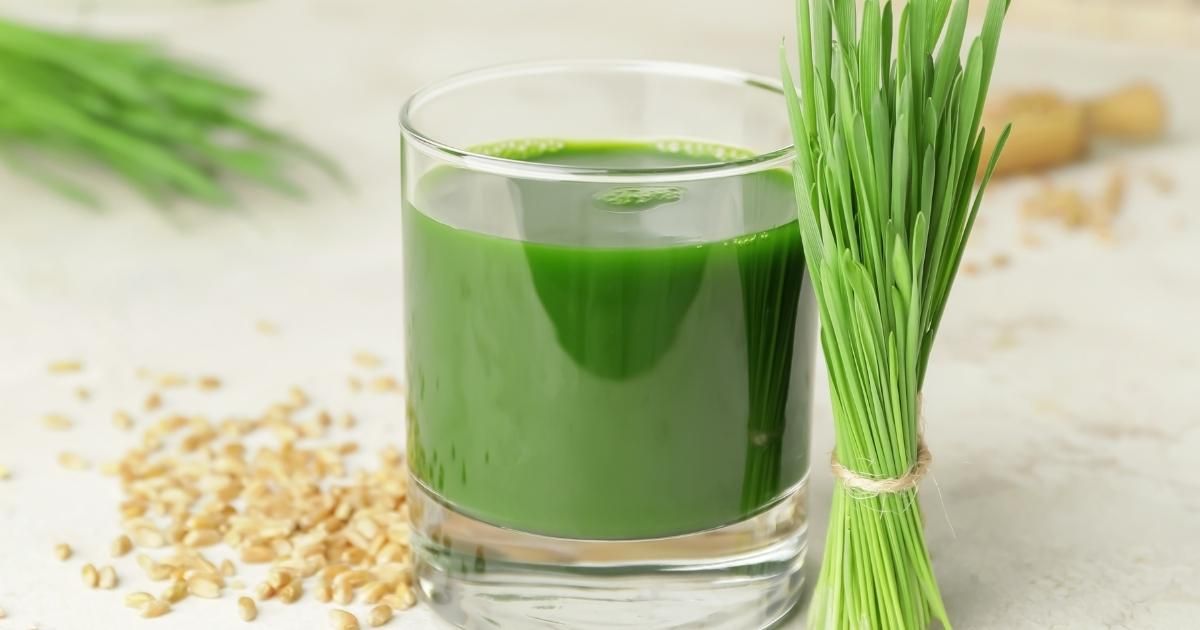 Buğday Çimi Nedir?