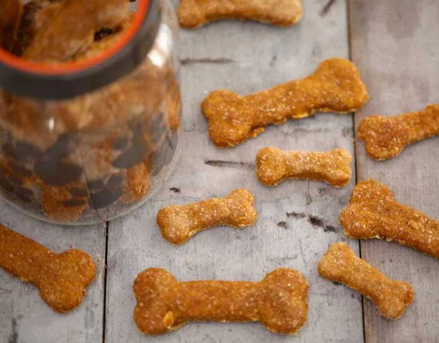 Homemade Dog Cookies with Peanut
